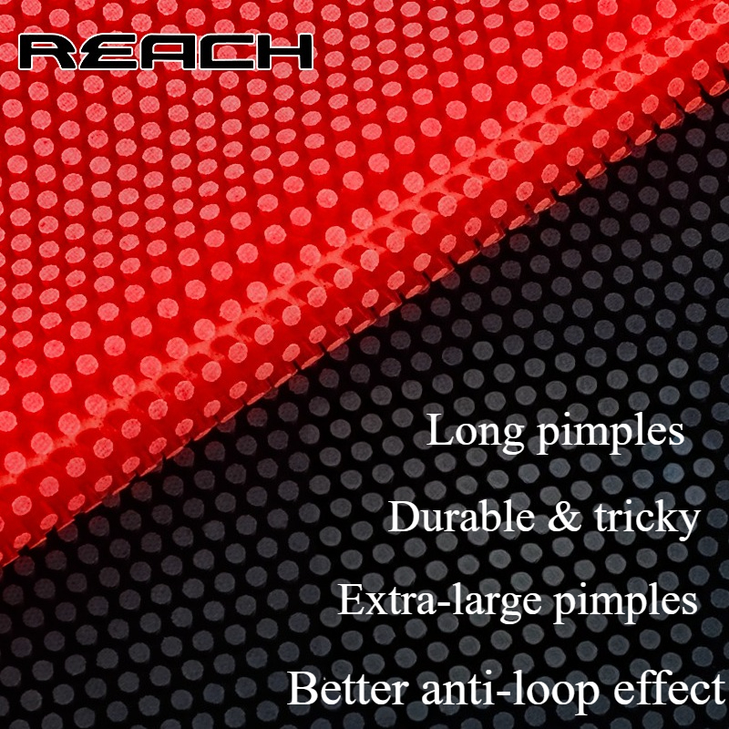 Reach C-8 C-801 Table-tennis R - Table Tennis For Sale avis et prix